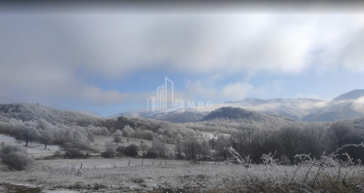 იყიდება სახნავ - სათესი მიწის ნაკვეთი, ზემო გოსტიბე