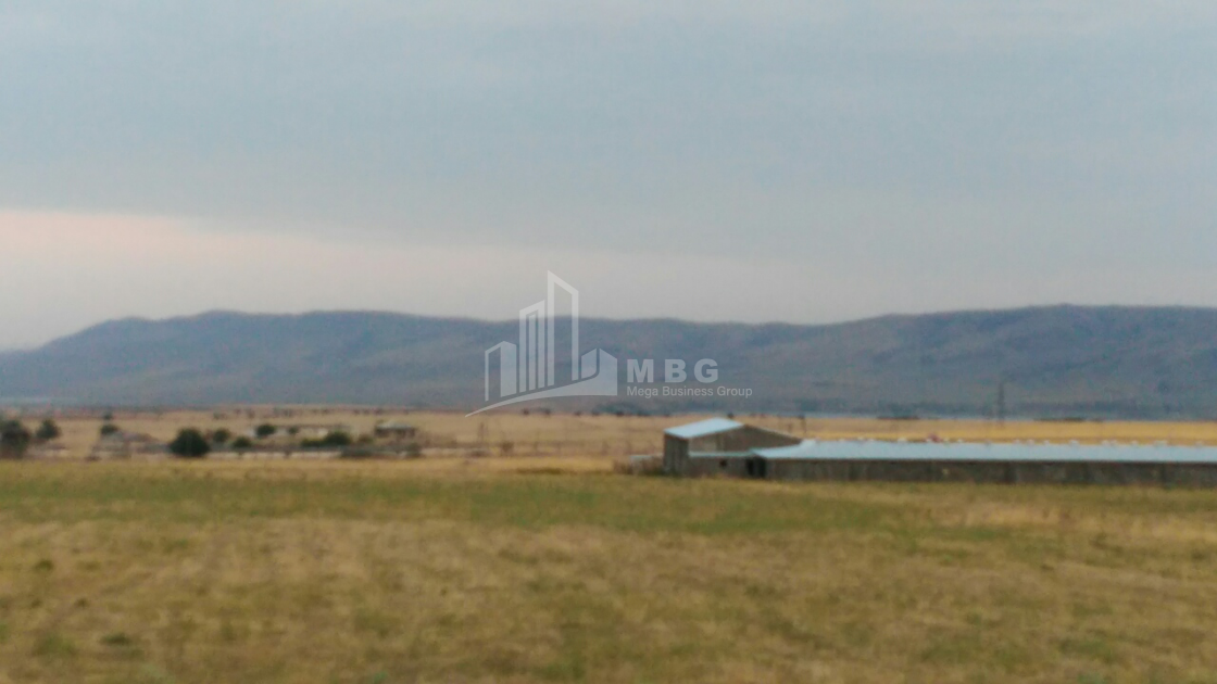 For Sale Orchards Land, in Kumisi