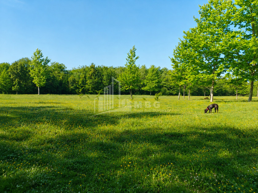 For Sale Orchards Land In Abasha
