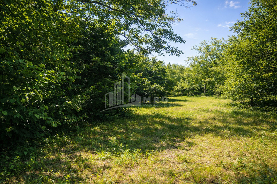 For-Sale-Land-Mchadijvari-village-Dusheti-Mtskheta---Mtianeti
