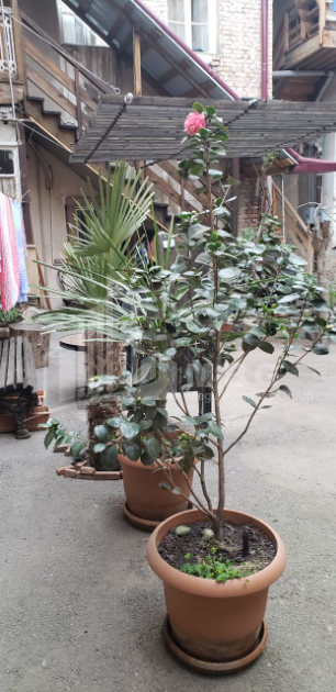 For Sale Flat, in Zemo Vera