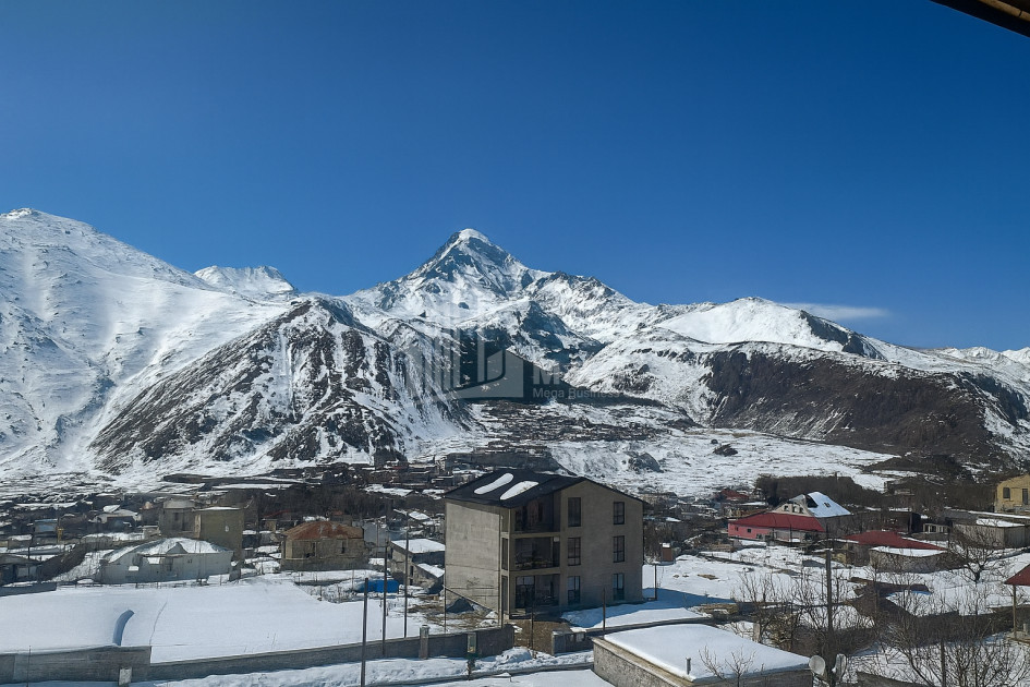 For Sale House Villa Stepantsminda Kazbegi Mtskheta   Mtianeti