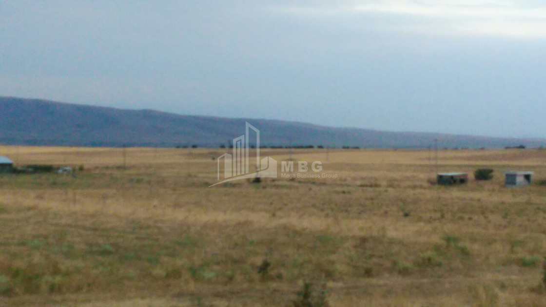 For Sale Orchards Land, in Kumisi