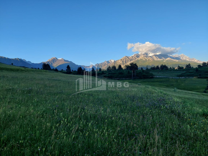 For Sale Land Tsvirmi Mestia Samegrelo   Upper Svaneti