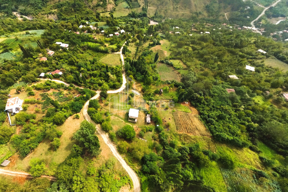 იყიდება მიწის ნაკვეთი ზემო ჟოშხა ამბროლაური რაჭა