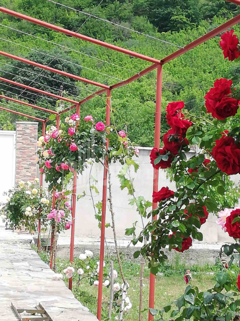 For Sale House - Villa, in Bulachauri