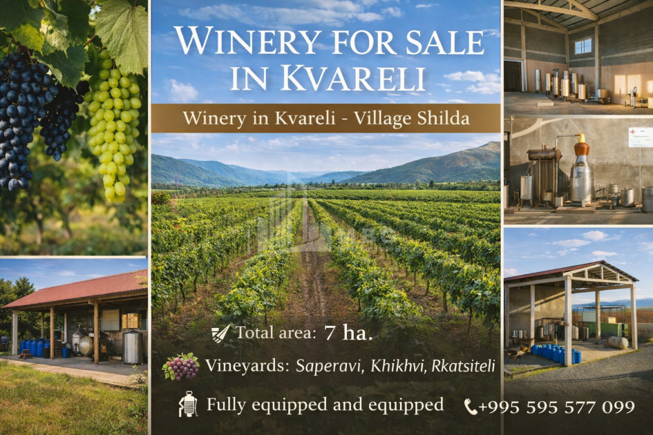 For Sale Commercial, Shilda, Kvareli, Kakheti