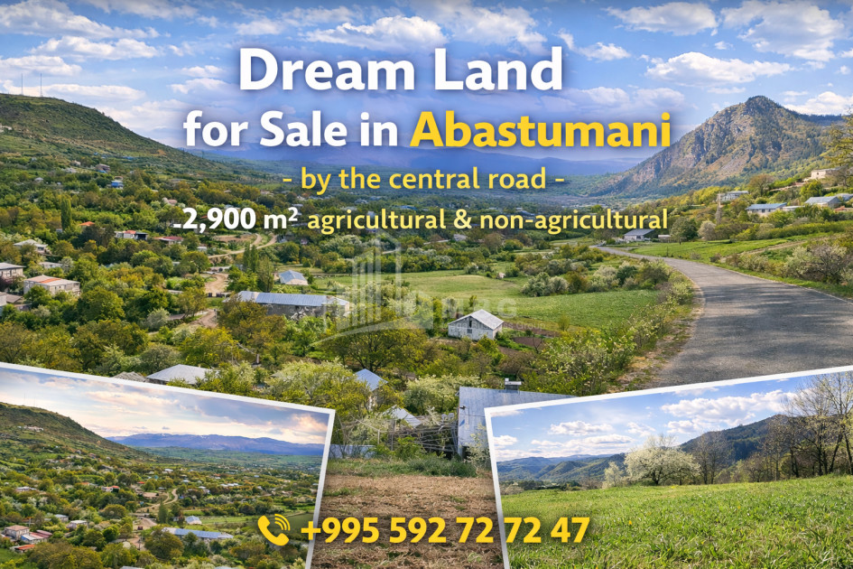 იყიდება მიწის ნაკვეთი აბასთუმანი ადიგენი სამცხე   ჯავახეთი