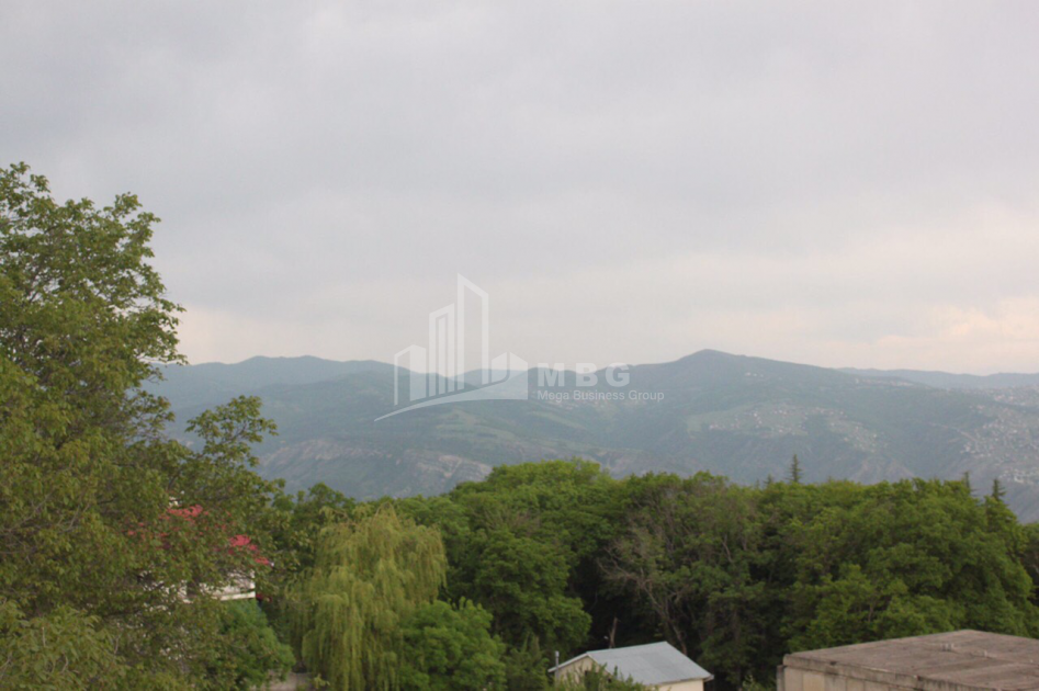 For Sale House - Villa, in Tskneti
