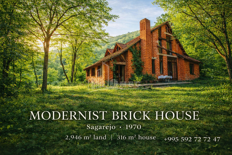 For Sale Old building House - Villa In Sagarejo