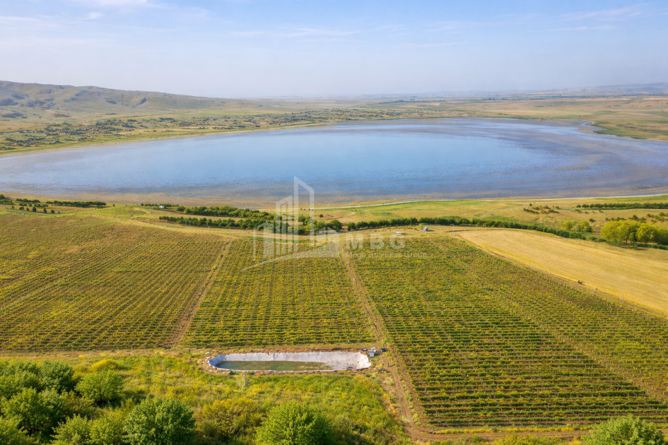 For Sale Land Kumisi Gardabani Kvemo Kartli