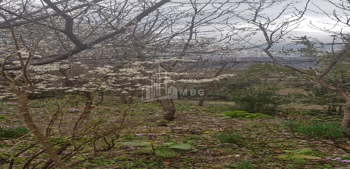 იყიდება სამოსახლო მიწის ნაკვეთი, სვანეთის უბანი