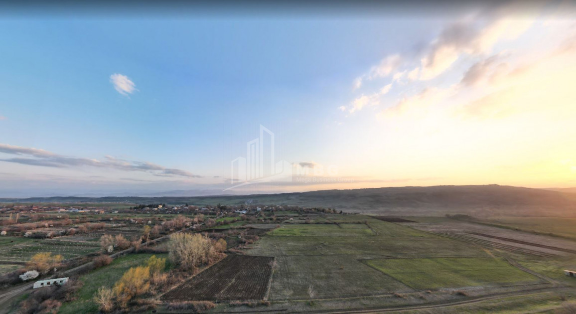For Sale Land, Assyria, Tetritskaro Municipality, Municipalities of Kvemo Kartli