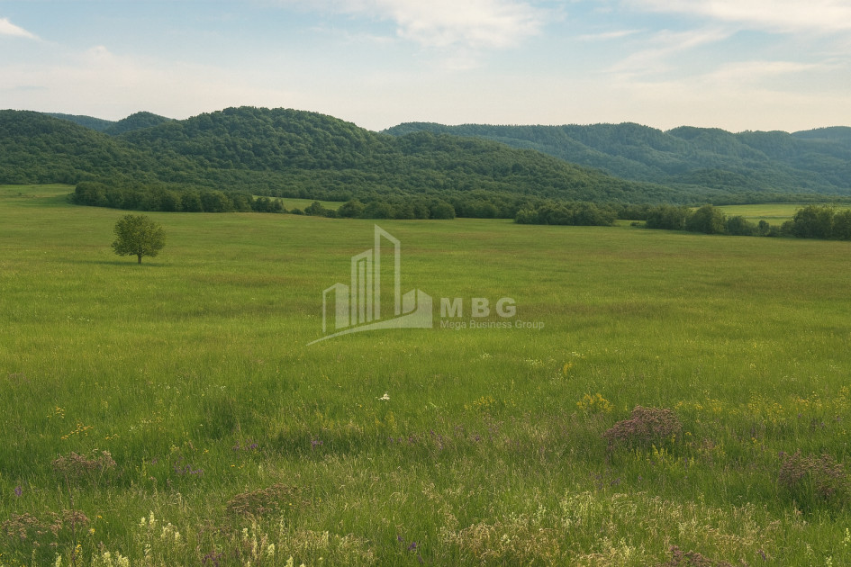 Продается Земля Гомбори Сагареджо Кахети