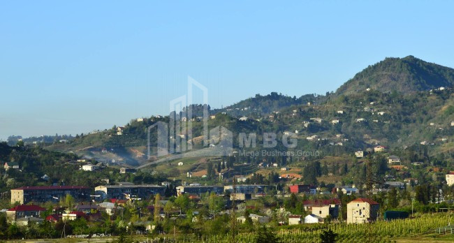 For Sale Country Land, in Chakvistavi