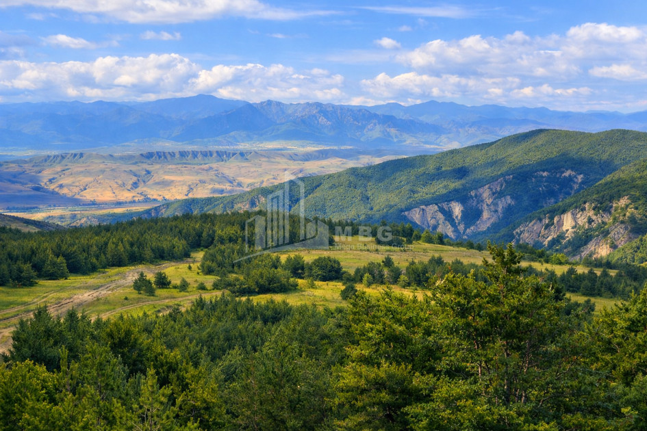 For Sale Land Zemo Gostibe Kaspi Shida Kartli