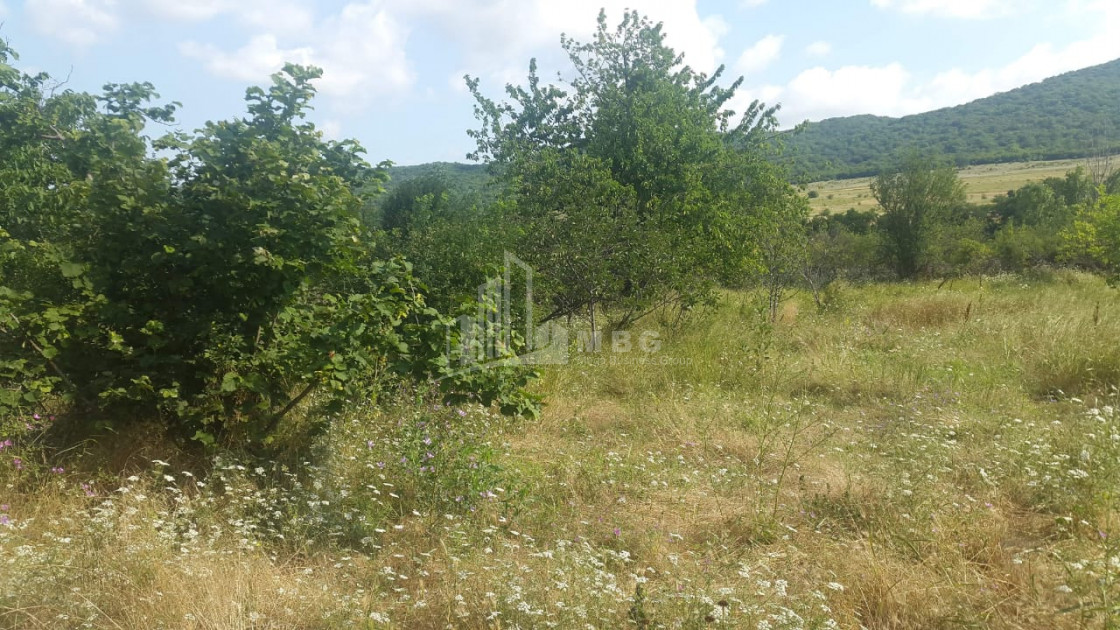 For Sale Country Land, in Tsinamdzgvriantkari