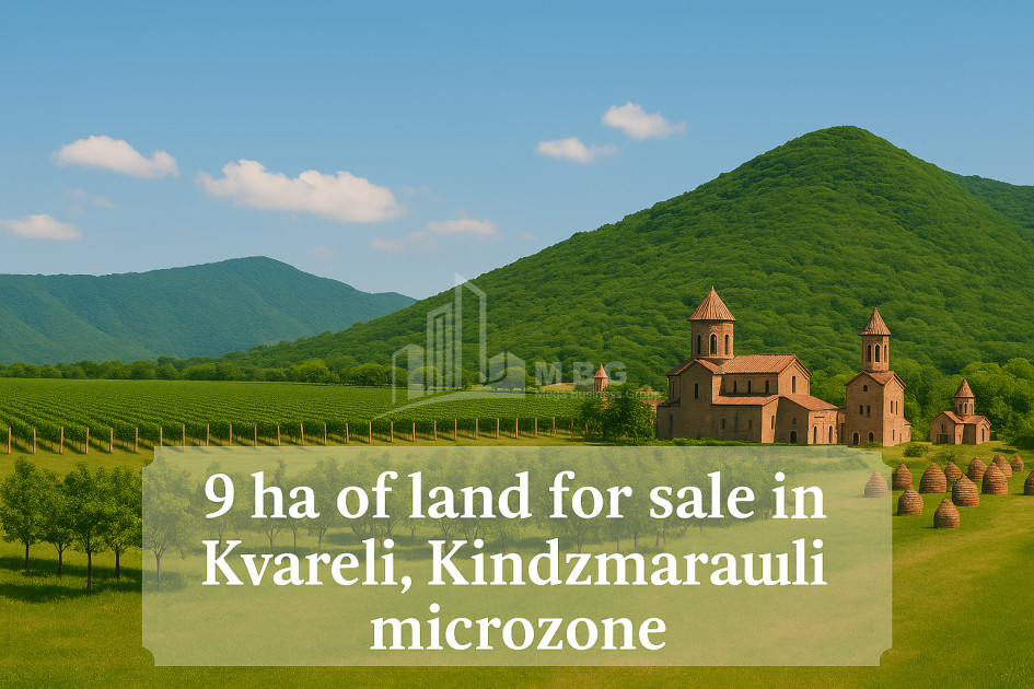 For Sale Land Kvareli Kakheti