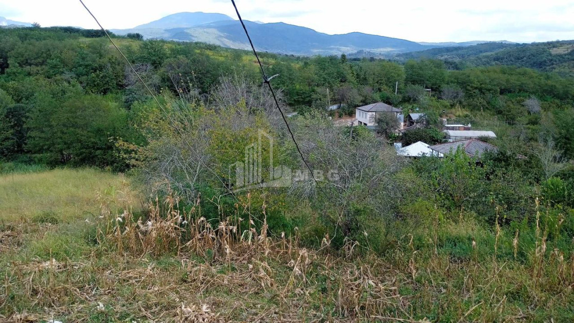 იყიდება სახლი აგარაკი ბესიაური წყალტუბო იმერეთი