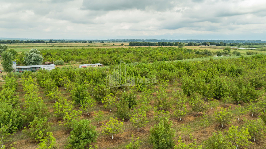 For Sale Land Kakheti