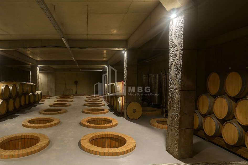 Продается Коммерческий Охио Ахмета Кахети