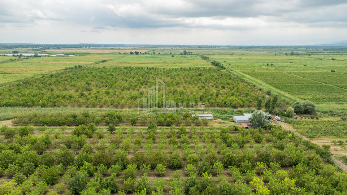 For Sale Land Kakheti