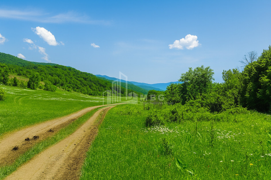 Продается Земля Гомбори Сагареджо Кахети