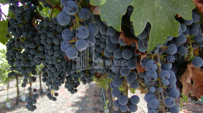 იყიდება კომერციული ფართი დოესი კასპი შიდა ქართლი