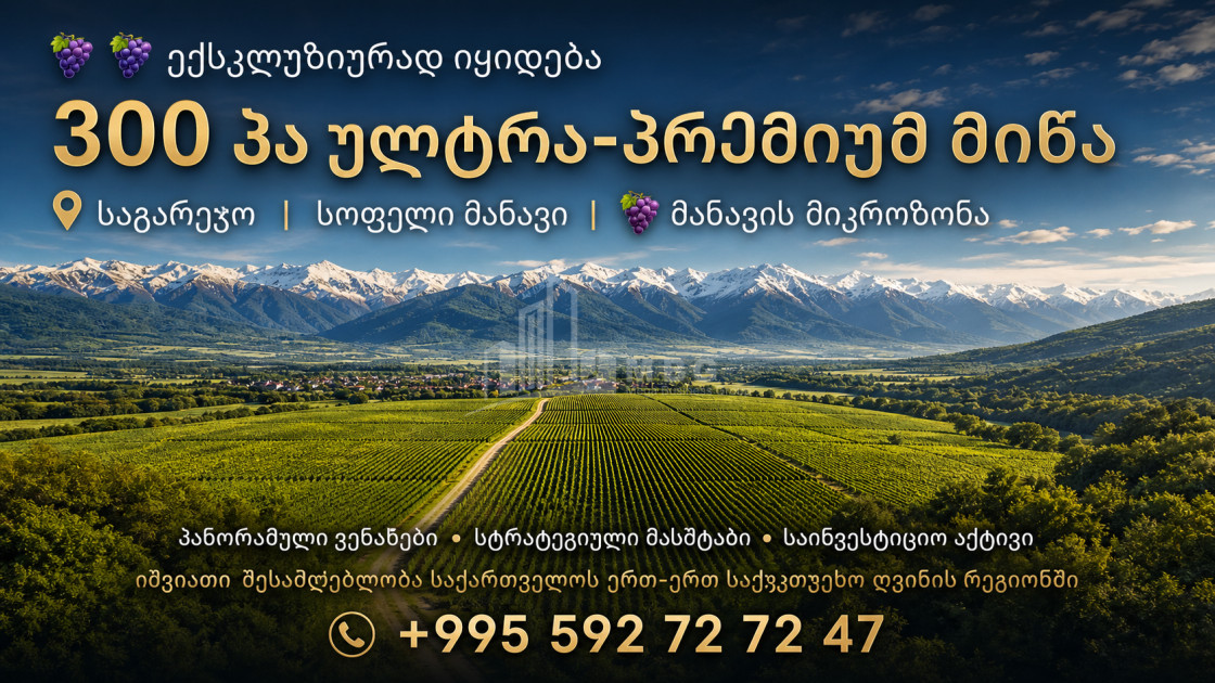 For Sale Vineyard - Chateau Land In Manavi, Sagarejo