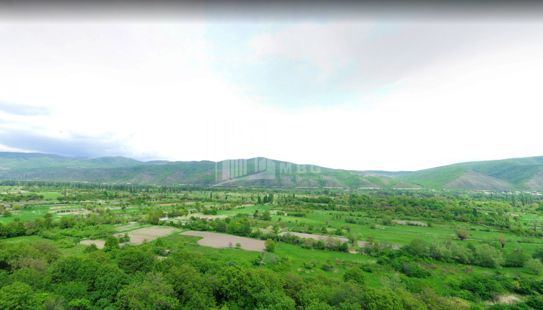 For Sale Land, Lamiskana, Kaspi Municipality, Municipalities of Shida Kartli