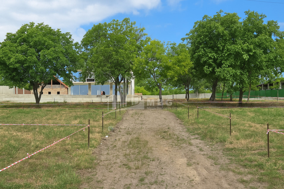 For Sale Commercial Bazaleti Dusheti Mtskheta   Mtianeti