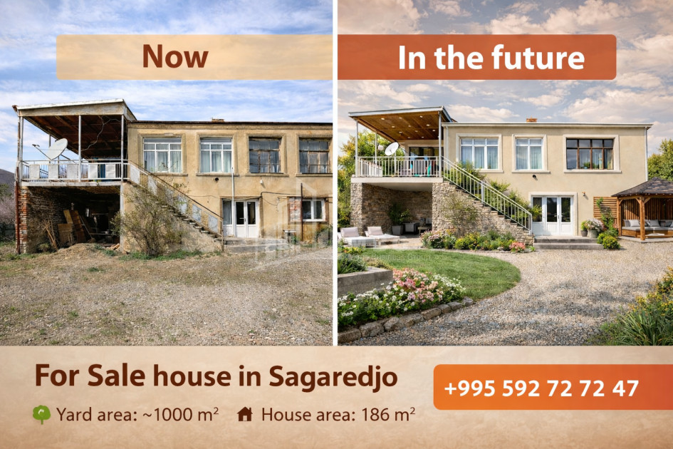 For Sale Old building House - Villa In Sagarejo