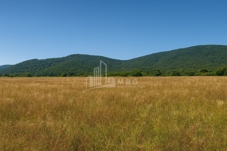 For Sale Land Gremi Kvareli Kakheti