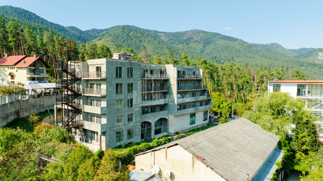 For Sale Commercial Likani Borjomi Samtskhe   Javakheti