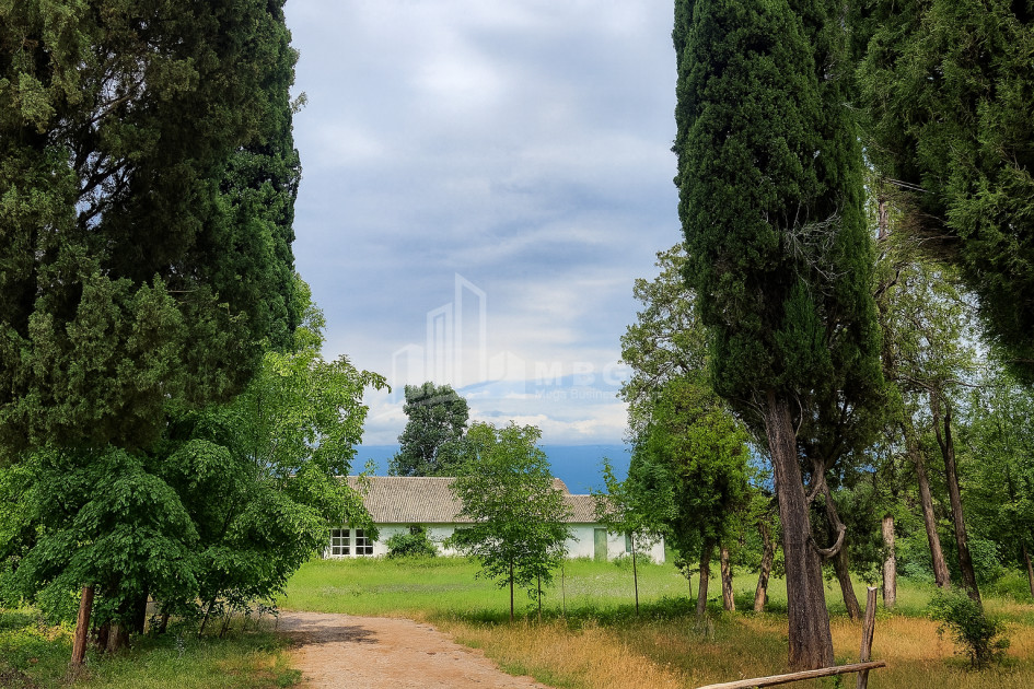 იყიდება კომერციული ფართი თელავი კახეთი