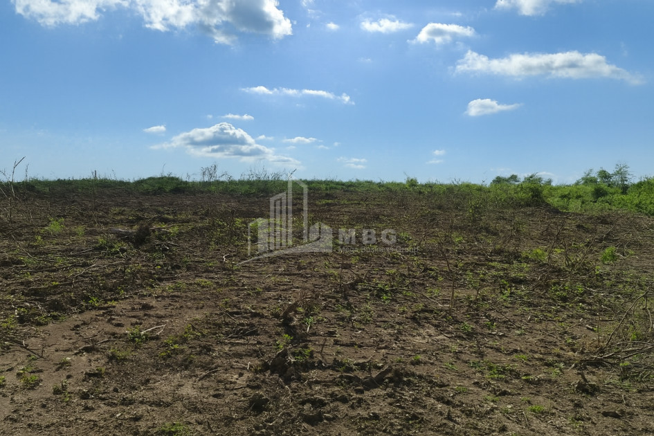 For Sale Land Eki village Senaki Samegrelo   Upper Svaneti