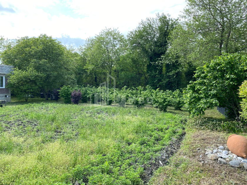 იყიდება ბიზნესი კომერციული ფართი თელავი კახეთი