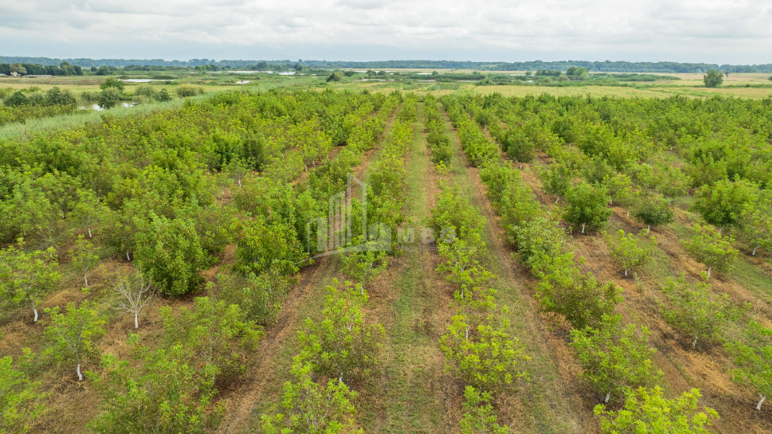 For Sale Land Kakheti