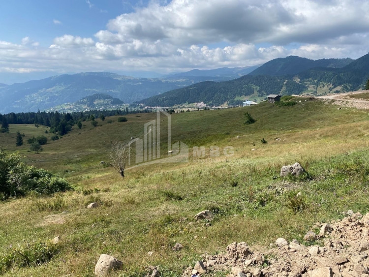 For Sale Country Land, in Khulo