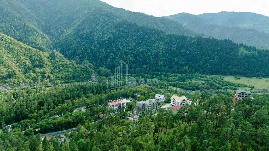 For Sale Commercial Likani Borjomi Samtskhe   Javakheti