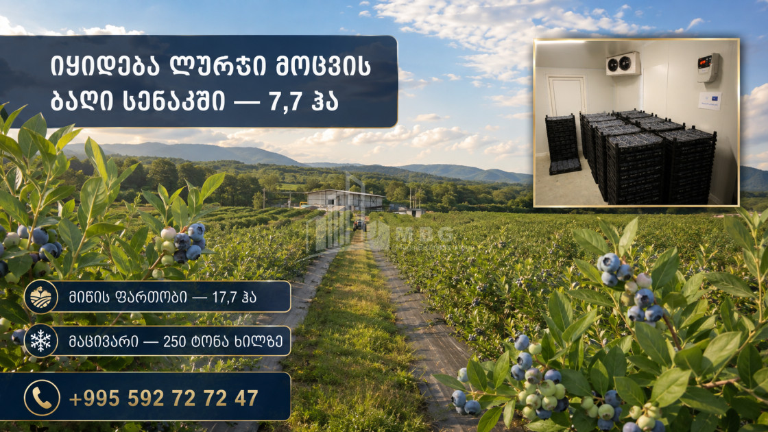 For Sale Orchards Land In Senaki
