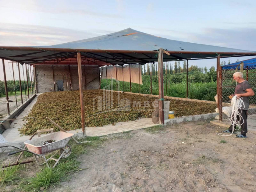 For Sale Land Khobi Samegrelo   Upper Svaneti