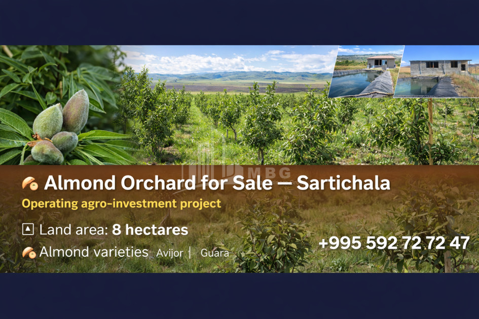 For Sale Orchards Land In Sartichala, Gardabani
