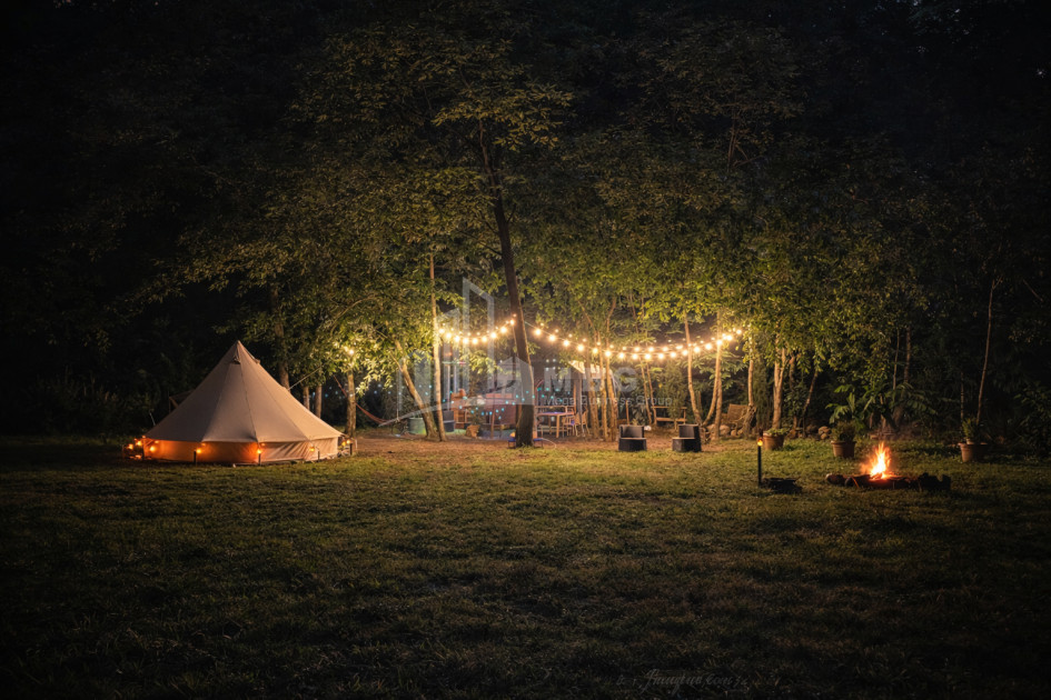 Business for sale Commercial Telavi Kakheti