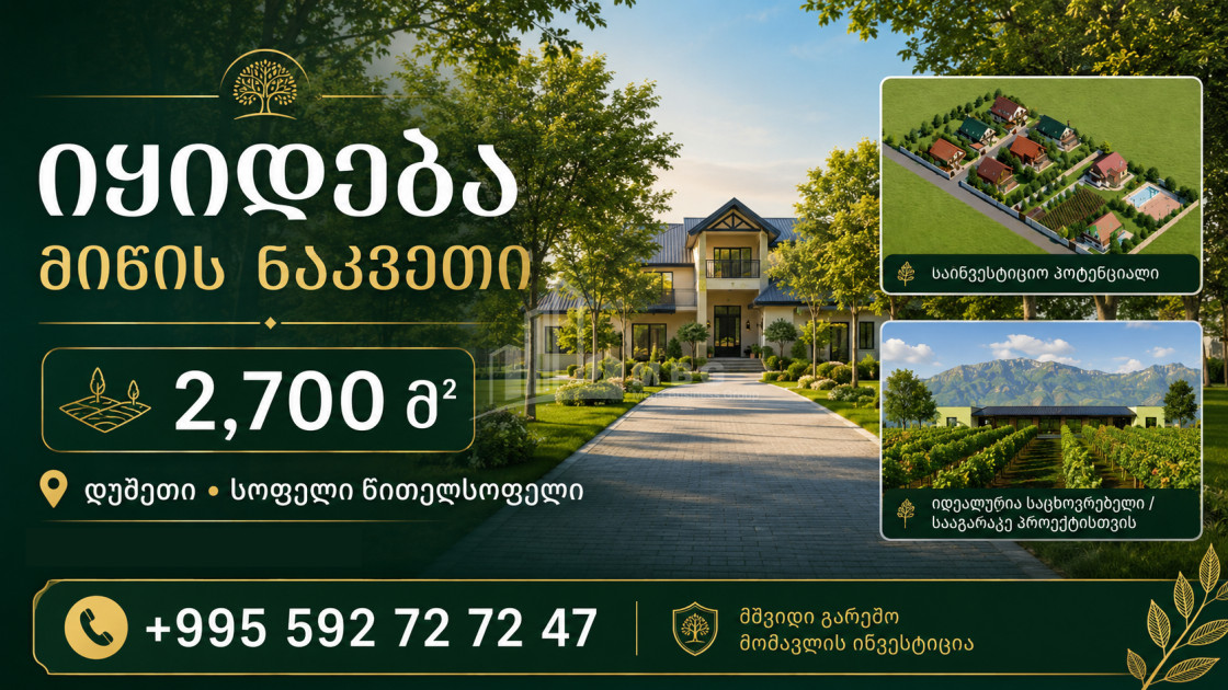 For Sale Country Land In Tsitelsopeli, Kareli
