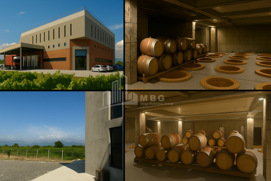 Продается Коммерческий Охио Ахмета Кахети