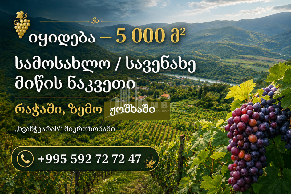 For Sale Vineyard - Chateau Land In Zemo Joshkha, Ambrolauri