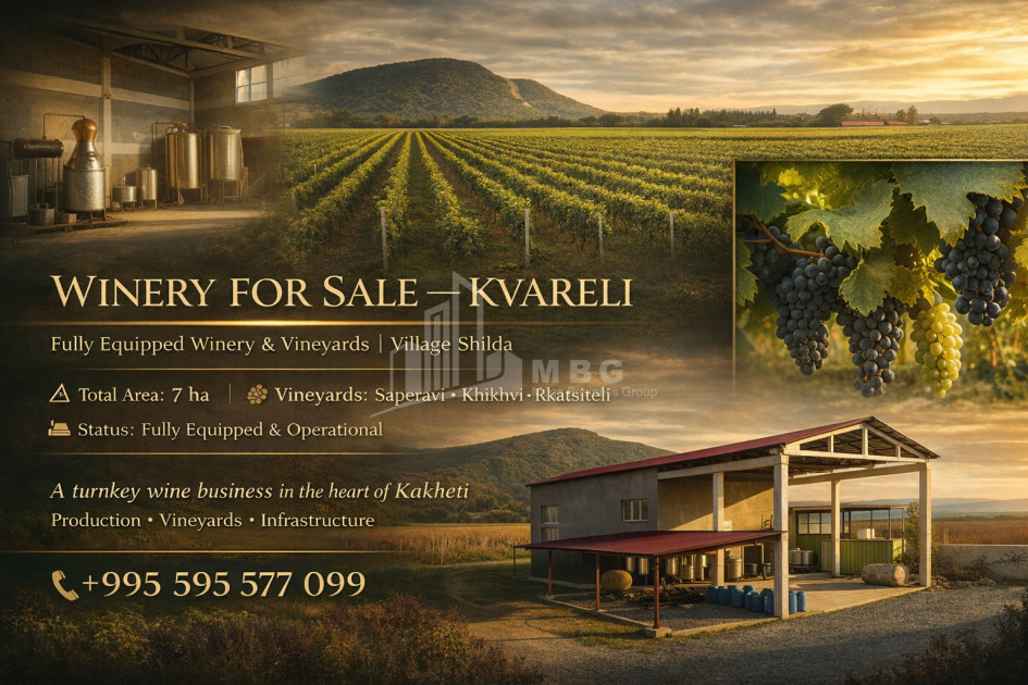 For Sale Commercial, Shilda, Kvareli, Kakheti