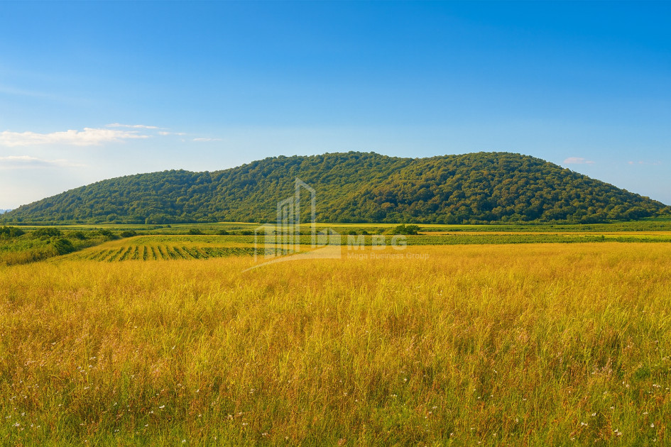 For Sale Land Gremi Kvareli Kakheti