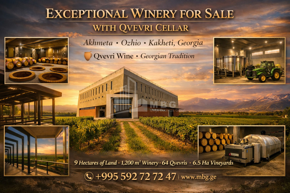 For Sale Chateau / Wine factory Commercial In Ojio, Akhmeta